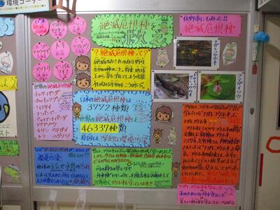 みんなが通る廊下にある、城北小学校の環境コーナー。ナガレコウホネについての特集が組まれるなど、学校内でも知名度が高まってきています！